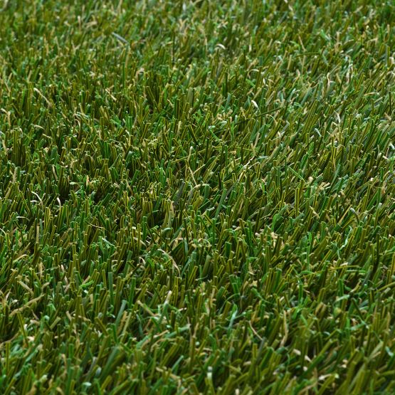 Bolt Natural turf by Southwest Greens